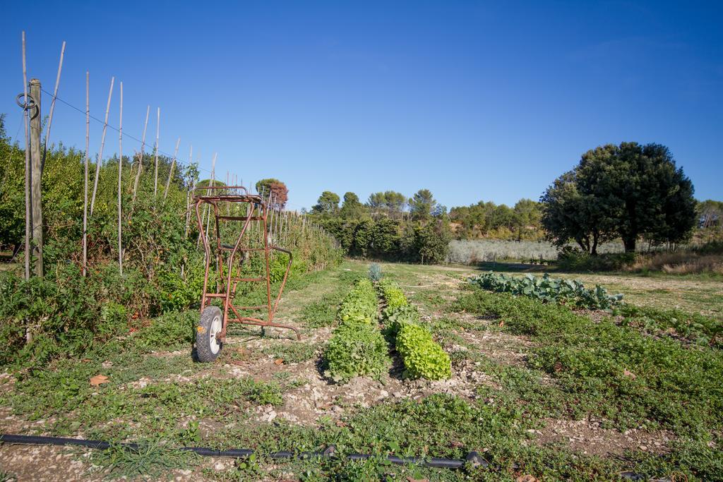 Les Residences De Metifiot Saint-Rémy-de-Provence Eksteriør bilde