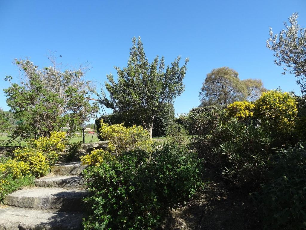 Les Residences De Metifiot Saint-Rémy-de-Provence Eksteriør bilde